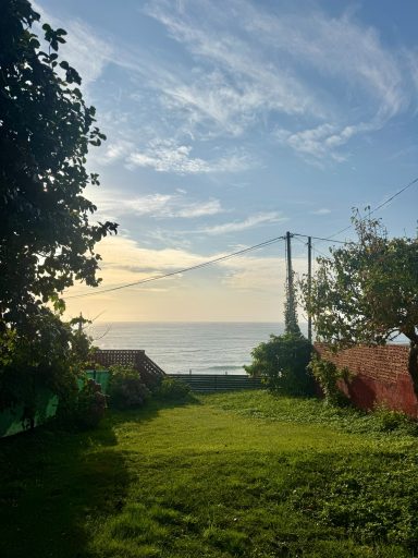 Jardín exterior con vistas Vista de un jardín verde con el mar al fondo y cielo despejado.